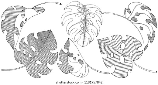 Vector tropical leaves in a watercolor style isolated. Vector leaf for background, texture, wrapper pattern, frame or border.