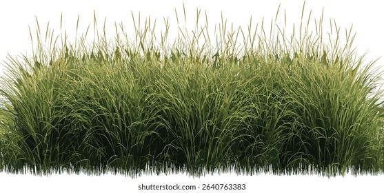 Vector tropical meadow, high grass growth, cutout background file, lush flora, summer landscape, vibrant greenery, natural grass field, flora row, nature texture, wild growth.