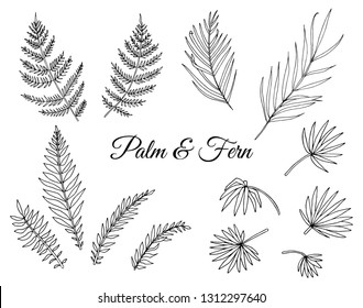 Vector tropical monstera clip art. Jungle foliage illustration. Hand drawn home exotic plant isolated on white background. Bright realistic illustration