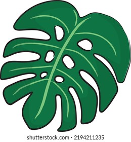 Vector Tropical Monstera Leaf. Exotic Design Element. Nature Decoration. Jungle Plant Icon. 