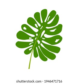 Vector tropical monstera leaf isolated on a white background.