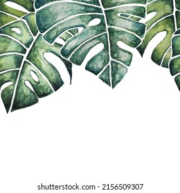 Hojas de monstera tropical vectorial - patrón sin fisuras hecho con acuarela. Jungla, ilustración tropical. Estilo Jungalow