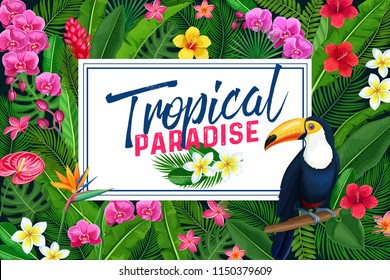 Vector tropical page design or poster. Floral jungle summer background with birds toucan, exotic leaf monstera, areca palm, royal fern and plumeria. Strelitzia, hibiscus, orchid or ginger flower.