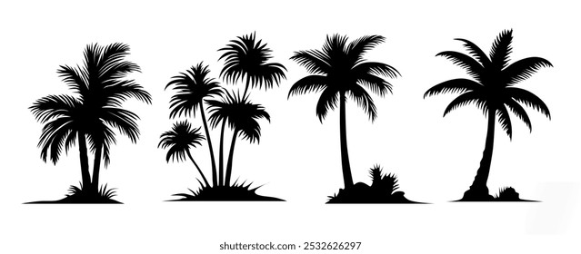 vector tropical palm or coconut trees collection (eps) isolated on white. detailed palm trees set	