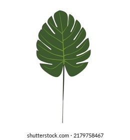 Vector Tropical Palm Green Leaf Leaves Hawaiian Plants