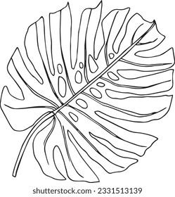 Hoja de palma tropical vectorial, hoja de Monstera en blanco y negro. Para tela, cuaderno, papel pintado, papel envuelto.	