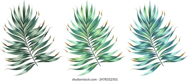 Vector tropical palm leaves. Bright realistic plants