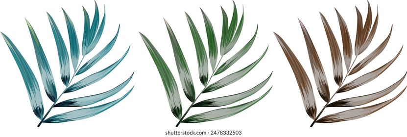 Vector tropical palm leaves. Bright realistic plants