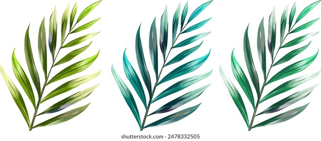 Vector tropical palm leaves. Bright realistic plants