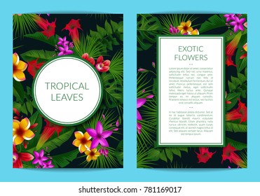 Vector tropical palm leaves and exotic flower elements business template for card or flyer with frames and place for text. Exotic palm leaf pattern, botanical hawaii flower illustration
