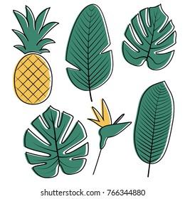 Vector Tropical Palm leaves, flower and pineapple isolated on white background. Philodendron, monstera leaves. Bird of paradise flower. Jungle leaves set.