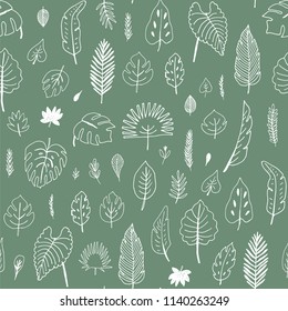 Vector tropical palm leaves, jungle leaves illustrations set