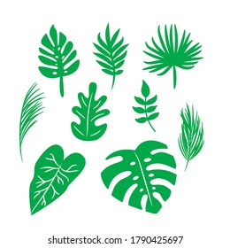 Vector tropical palm leaves, jungle green leaves, split leaf, monstera leaf set isolated on white background