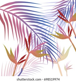 Vector tropical palm leaves, jungle leaves and set isolated 