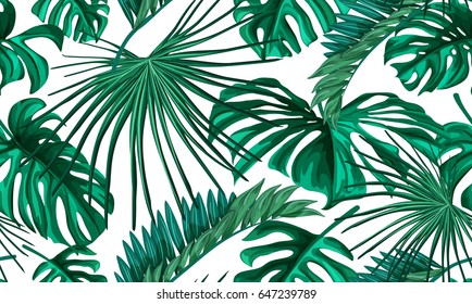 Vector Tropical palm leaves seamless pattern.  Jungle floral ornamental background. Florals for your poster, banner flayer, advertisement design. 