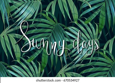 Vector hojas tropicales de palma sin fisuras. Floral exótico fondo hawaiano. Hoja de plátano. Plantas de selva dibujadas a mano. Letras manuscritas de días soleados. Se puede utilizar en web, impresión, arte, textil, tarjeta.