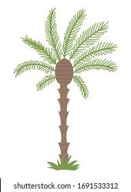 Vector tropical palm tree clip art. Jungle foliage illustration. Hand drawn flat exotic plant isolated on white background. Bright childish summer greenery illustration