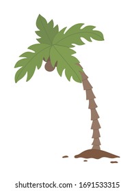 Vector tropical palm tree clip art. Jungle foliage illustration. Hand drawn flat exotic plant isolated on white background. Bright childish summer greenery illustration