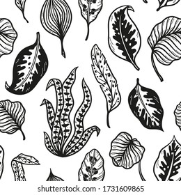 Vector Tropical Palm Tree Leaves Seamless Pattern. Hand Drawn Doodle Palm Leaf Sketch Drawing. Summer Floral Background. Tropical Plants Wallpaper