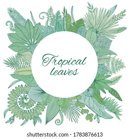 Vektor Tropical Palm Tree Leaves Rahmen. Exotischer Hintergrund aus Leaf. Botanische handgezeichnete Illustration im Skizzenstil.