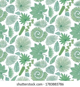 Vector Tropical Palm Tree Leaves seamless pattern. Exotic Leaf Background. Botanical hand drawn illustration in sketch style for fabric print, wrapping paper.