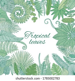 Vector Tropical Palm Tree Leaves frame. Exotic Leaf Background. Botanical hand drawn illustration in sketch style.	
