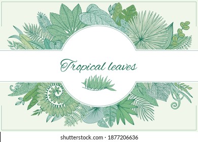 Vector Tropical Palm Tree Leaves frame. Exotic Leaf Background. Botanical hand drawn illustration in sketch style.