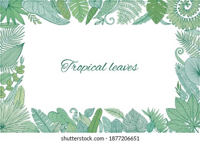 Vector Tropical Palm Tree Leaves frame. Exotic Leaf Background. Botanical hand drawn illustration in sketch style.