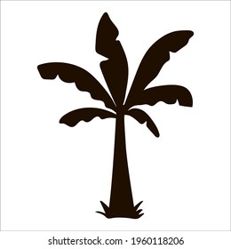 Vector tropical palm tree silhouette. Black jungle foliage icon. Hand drawn exotic plant isolated on white background. Black summer greenery illustration.
