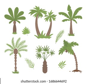 Pintura de palmeras tropicales vectoriales. Ilustración de follaje de la jungla. Plantas exóticas planas dibujadas a mano aisladas en fondo blanco. Brillante ilustración de verdor infantil