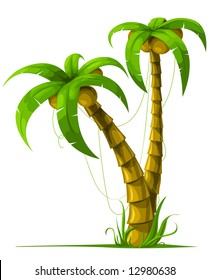 vector tropical palm trees isolated on white background illustration