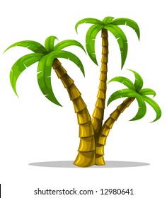 vector tropical palm trees isolated on white background illustration
