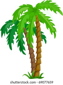 vector tropical palm trees isolated on white background illustration