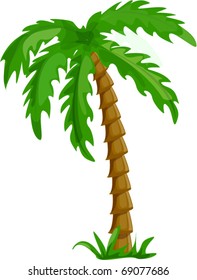 vector tropical palm trees isolated on white background illustration