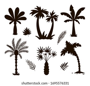 Vector tropical palm trees silhouettes. Jungle foliage black illustration. Hand drawn black exotic plants isolated on white background. Summer trees stamp design