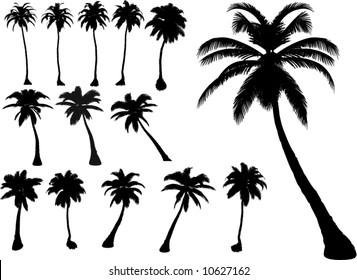 vector tropical palms and trees