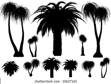 vector tropical palms and trees