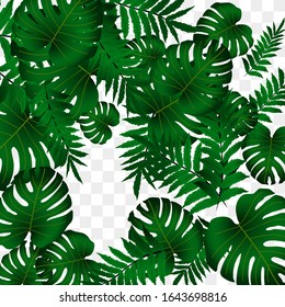  Vector tropical pattern, bright tropical foliage, monstera leaves. Modern bright summer print design from thickets of tropical leaves from the jungle.