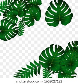  Vector tropical pattern, bright tropical foliage, monstera leaves. Modern bright summer print design from thickets of tropical leaves from the jungle.