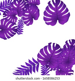 Tropische Vektorillustration, helles tropisches Blattwerk, Monsterablätter. Modernes, helles Sommerdesign aus einer Vielzahl tropischer Blätter aus dem Dschungel.
