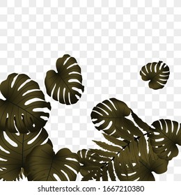  Vector tropical pattern, bright tropical foliage, monstera leaves. Modern bright summer print design from thickets of tropical leaves from the jungle.