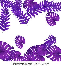  Tropische Vektorillustration, helles tropisches Blattwerk, Monsterablätter. Modernes, helles Sommerdesign aus einer Vielzahl tropischer Blätter aus dem Dschungel.