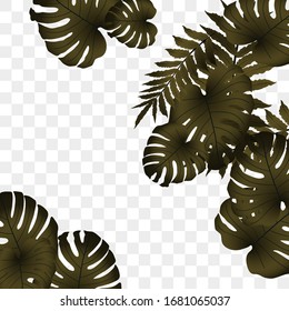  Patrón tropical vectorial, follaje tropical brillante, hojas monsteras. Diseño moderno y luminoso de impresión de verano a partir de espesores de hojas tropicales de la selva.