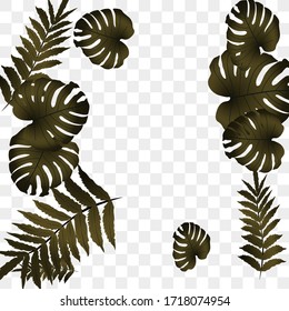  Vector tropical pattern, bright tropical foliage, monstera leaves. Modern bright summer print design from thickets of tropical leaves from the jungle.