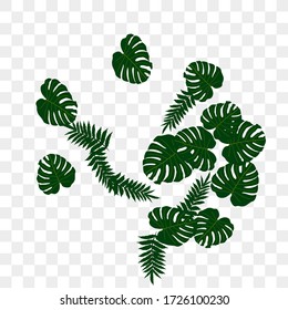 Vector tropical pattern, bright tropical foliage, monstera leaves. Modern bright summer print design of thickets of tropical leaves from the jungle.