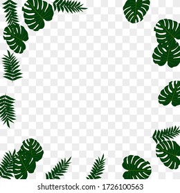 Vector tropical pattern, bright tropical foliage, monstera leaves. Modern bright summer print design of thickets of tropical leaves from the jungle.