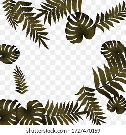  Vector tropical pattern, bright tropical foliage, monstera leaves. Modern bright summer print design from thickets of tropical leaves from the jungle.