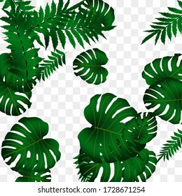  Vector tropical pattern, bright tropical foliage, monstera leaves. Modern bright summer print design from thickets of tropical leaves from the jungle.
