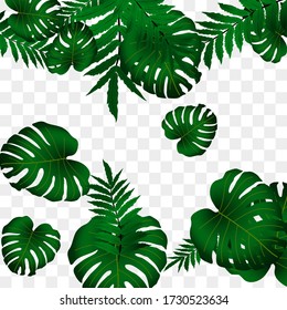  Vector tropical pattern, bright tropical foliage, monstera leaves. Modern bright summer print design from thickets of tropical leaves from the jungle.