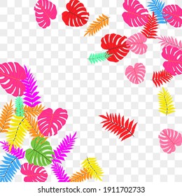 Vector tropical pattern, bright tropical foliage, monstera leaves. Modern bright summer print design of thickets of tropical leaves from the jungle.